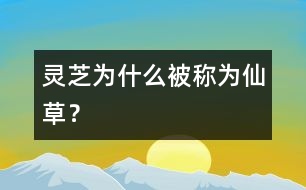 靈芝為什么被稱為“仙草”？