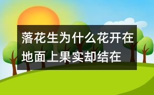 落花生為什么花開在地面上,果實卻結(jié)在地下？