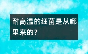 耐高溫的細菌是從哪里來的？