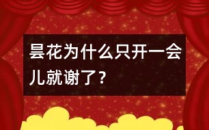 曇花為什么只開一會兒就謝了？