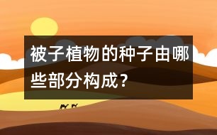 被子植物的種子由哪些部分構(gòu)成？