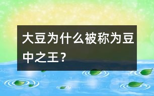 大豆為什么被稱為“豆中之王”？