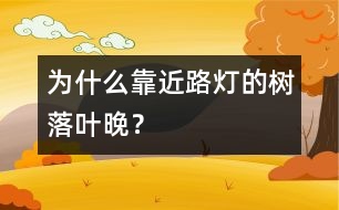 為什么靠近路燈的樹落葉晚？