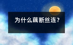 為什么藕斷絲連？