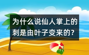 為什么說仙人掌上的刺是由葉子變來的？