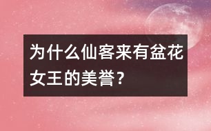 為什么仙客來有“盆花女王”的美譽(yù)？