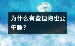 為什么有些植物也要“午睡”？