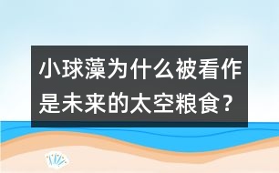 小球藻為什么被看作是未來的太空糧食？