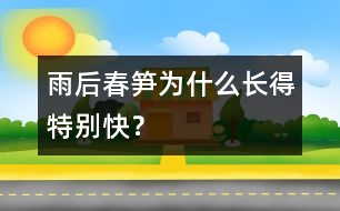 雨后春筍為什么長得特別快？