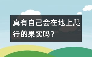 真有自己會在地上爬行的果實嗎？