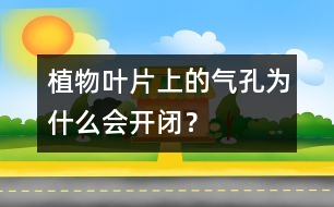 植物葉片上的氣孔為什么會開閉？