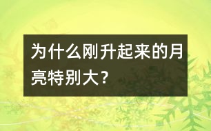 為什么剛升起來(lái)的月亮特別大？