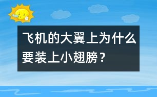 飛機(jī)的大翼上為什么要裝上小翅膀？