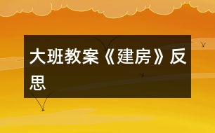 大班教案《建房》反思