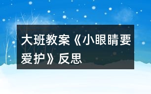 大班教案《小眼睛要愛護》反思