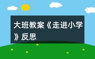 大班教案《走進小學》反思