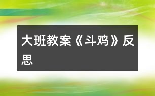 大班教案《斗雞》反思