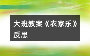 大班教案《農(nóng)家樂》反思