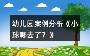 幼兒園案例分析《小球哪去了？》