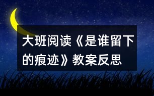 大班閱讀《是誰留下的痕跡》教案反思