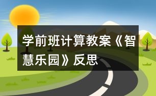 學前班計算教案《智慧樂園》反思