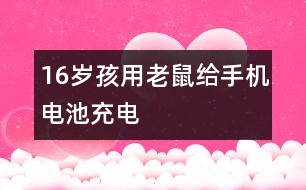 16歲孩用老鼠給手機電池充電