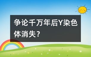 爭論：千萬年后Y染色體消失？