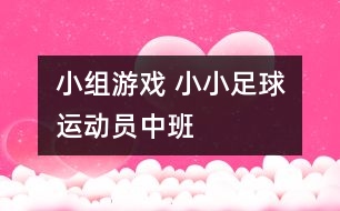 小組游戲 小小足球運(yùn)動員（中班）