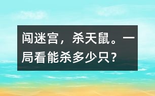 闖迷宮，殺天鼠。一局看能殺多少只？