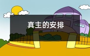 真主的安排