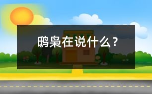 鴟梟在說(shuō)什么？